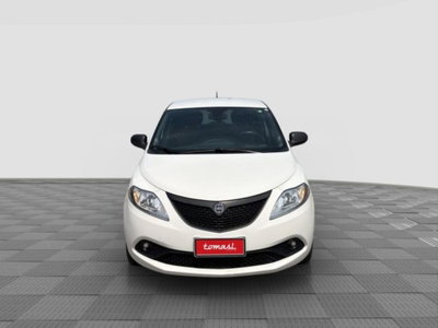Lancia Ypsilon 1.2 69 CV 5 porte Elefantino Blu (8)