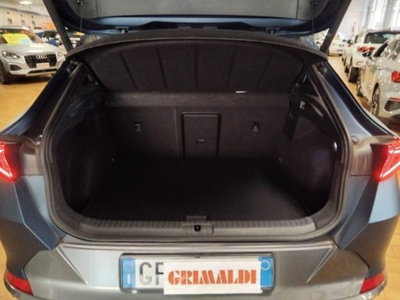 Cupra Formentor Formentor 1.5 TSI (9)