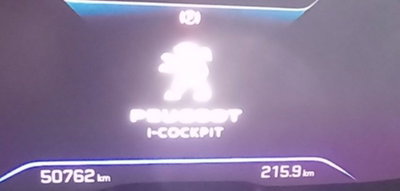 Peugeot 3008 BlueHDi 130 S&S EAT8 Active Pack (11)