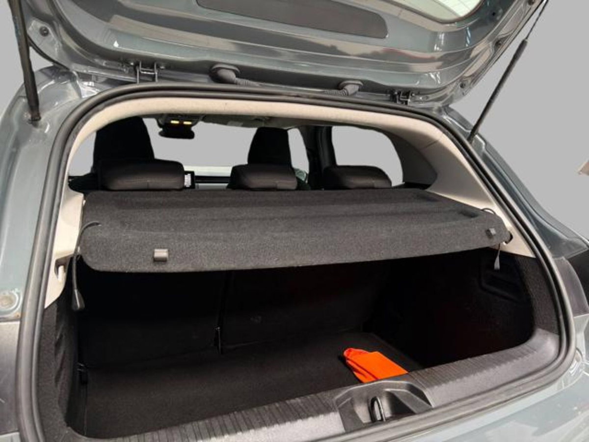 Renault Clio Blue dCi 85 CV 5 porte Zen (14)