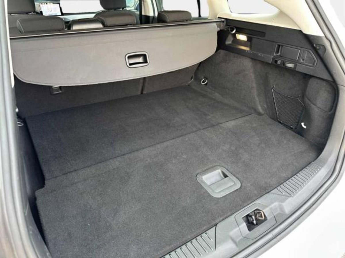 Ford Focus Station Wagon 1.5 EcoBlue 120 CV automatico SW Business (13)