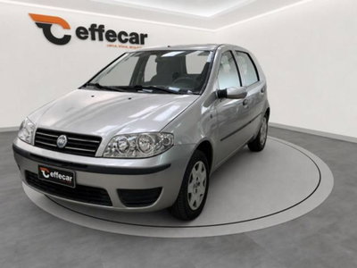 Fiat Punto 60 cat 5 porte S usata