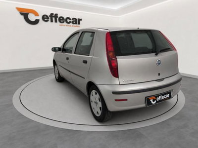 Fiat Punto 60 cat 5 porte S (4)