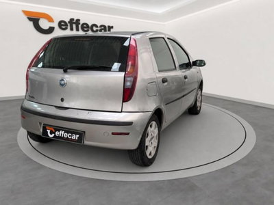 Fiat Punto 60 cat 5 porte S (6)