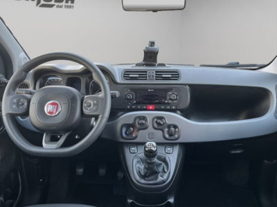 Fiat Panda 1.0 firefly hybrid s&s 70cv 5p.ti (10)