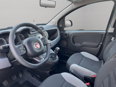 Fiat Panda 1.0 firefly hybrid s&s 70cv 5p.ti (7)
