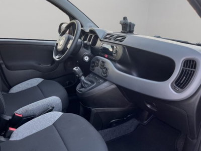 Fiat Panda 1.0 firefly hybrid s&s 70cv 5p.ti (9)