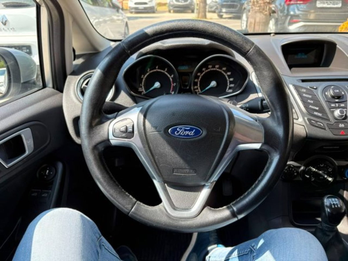 Ford Fiesta 1.4 5 porte Bz.- GPL Titanium (8)