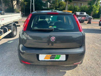 Fiat Punto 1.2 8V 5 porte Street (12)