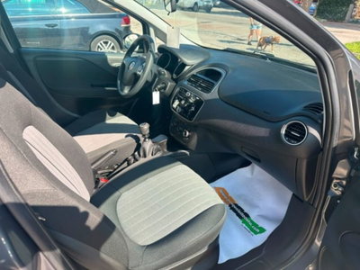 Fiat Punto 1.2 8V 5 porte Street (17)