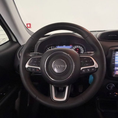 Jeep Renegade 1.6 Mjt 130 CV Limited (12)