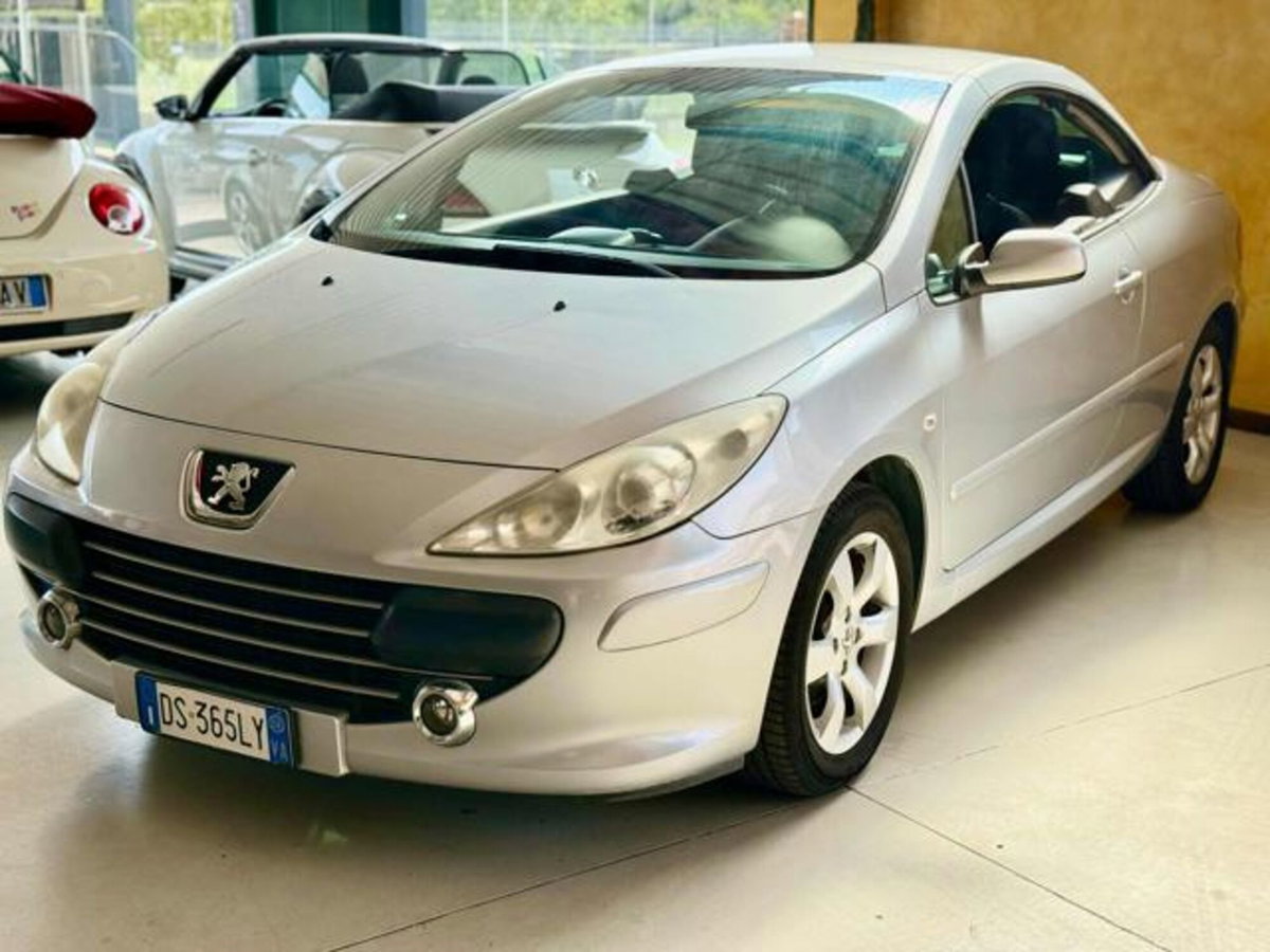 Peugeot 307 Cabrio 16V CC Tecno (2)