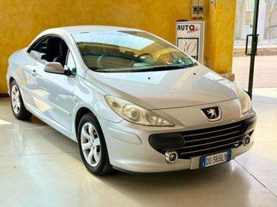 Peugeot 307 Cabrio 16V CC Tecno (3)