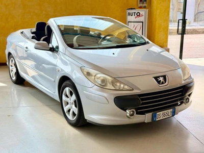 Peugeot 307 Cabrio 16V CC Tecno (4)