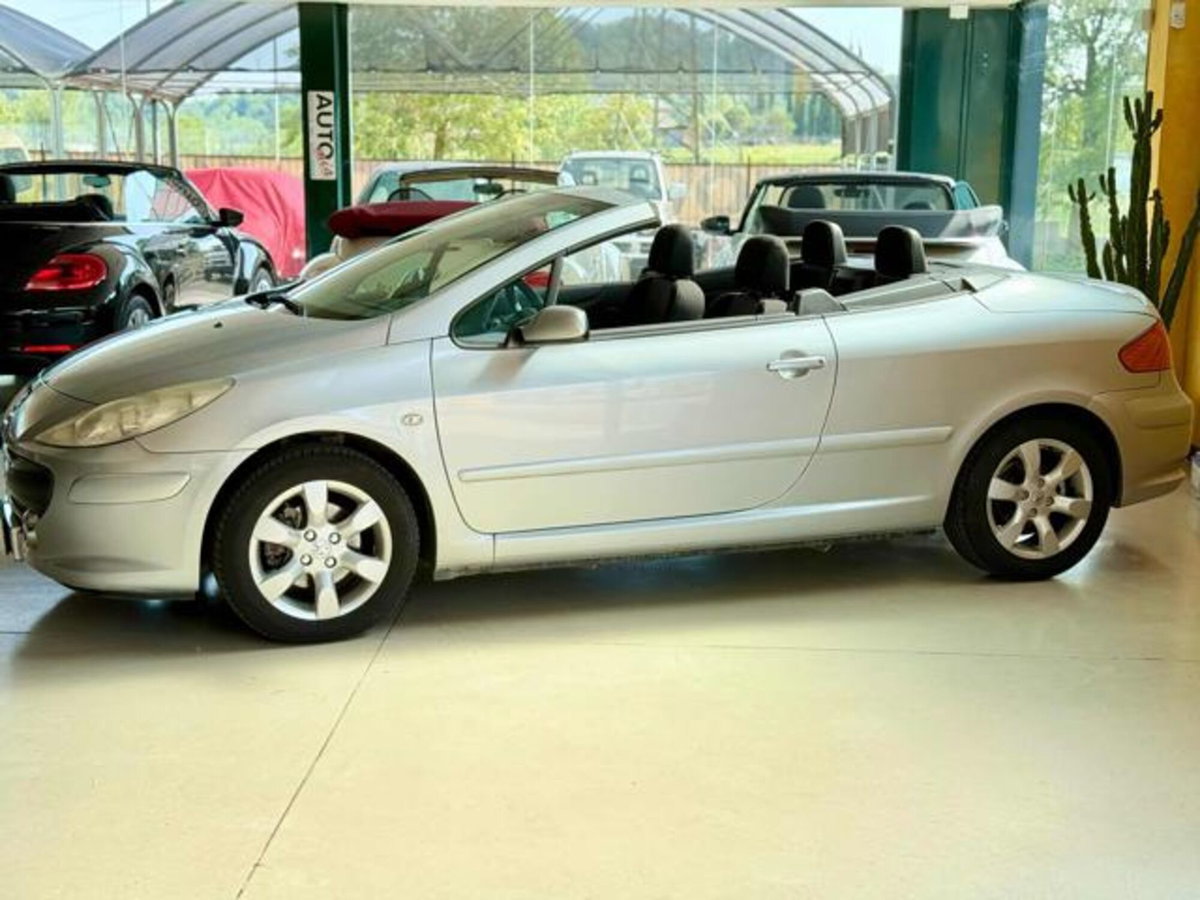 Peugeot 307 Cabrio 16V CC Tecno (5)