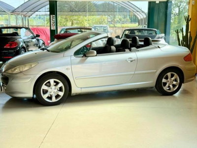 Peugeot 307 Cabrio 16V CC Tecno (5)