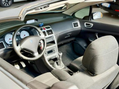 Peugeot 307 Cabrio 16V CC Tecno (6)