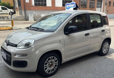 Fiat Panda 1.2 Easy usata