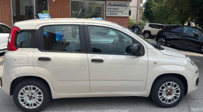 Fiat Panda 1.2 Easy (3)