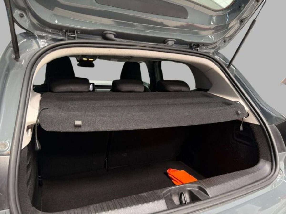 Renault Clio Blue dCi 85 CV 5 porte Zen (14)