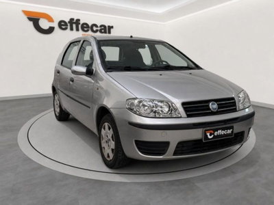 Fiat Punto 1.2 5 porte Dynamic (3)