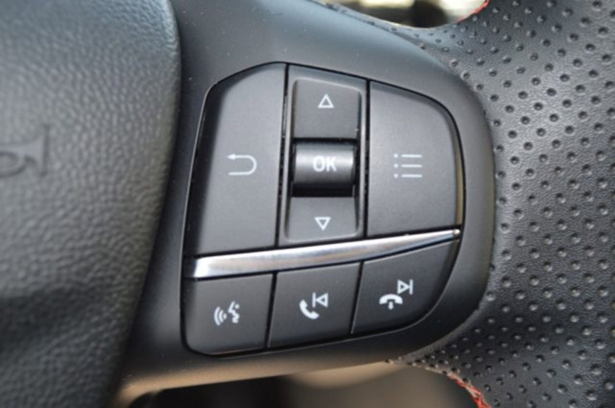 Ford Puma 1.0 EcoBoost Hybrid 125 CV S&S ST-Line Design 2 (14)