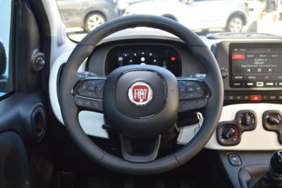 Fiat Panda Cross 1.0 firefly hybrid Cross s&s 70cv 5p.ti (10)