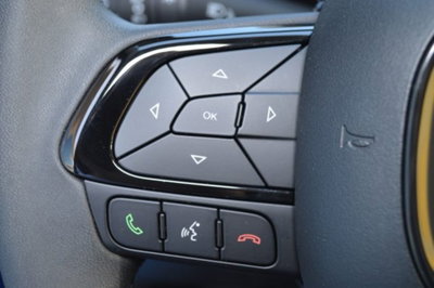 Fiat Panda Cross 1.0 firefly hybrid Cross s&s 70cv 5p.ti (13)