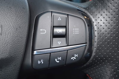 Ford Fiesta 1.0 Ecoboost Hybrid 125 CV DCT 5 porte ST-Line (14)