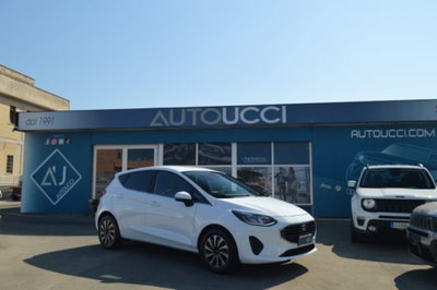 Ford Fiesta 1.1 75 CV GPL 5 porte Titanium (3)