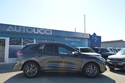 Ford Kuga 1.5 EcoBoost 150 CV 2WD ST-Line (2)