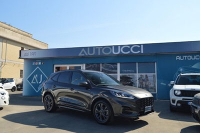 Ford Kuga 1.5 EcoBoost 150 CV 2WD ST-Line (3)