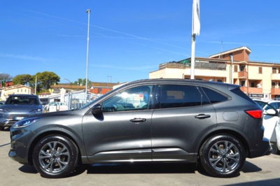 Ford Kuga 1.5 EcoBoost 150 CV 2WD ST-Line (5)