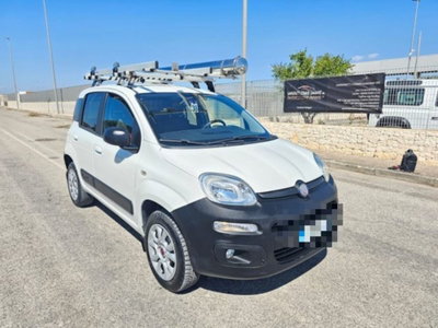 Fiat Panda 1.3 MJT S&S 4x4 Pop Climbing Van 2 posti (3)