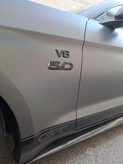 Ford Mustang Coupé Fastback 5.0 V8 TiVCT GT (6)