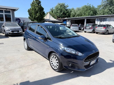 Ford Fiesta 1.4 5 porte Bz.- GPL Black & White Edition (3)