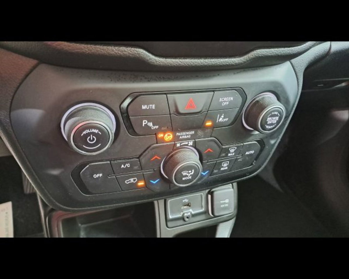 Jeep Renegade 1.6 Mjt 120 CV Limited (11)
