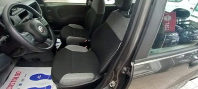 Fiat Panda 1.0 firefly hybrid s&s 70cv 5p.ti (5)