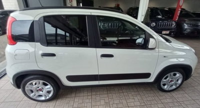 Fiat Panda 1.0 firefly hybrid s&s 70cv 5p.ti (2)