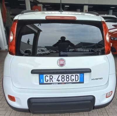 Fiat Panda 1.0 firefly hybrid s&s 70cv 5p.ti (3)