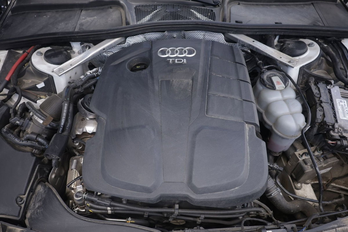Audi A4 Allroad 40 TDI 190 CV S tronic Business Evolution (20)