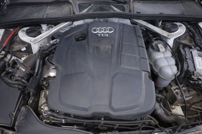 Audi A4 Allroad 40 TDI 190 CV S tronic Business Evolution (20)