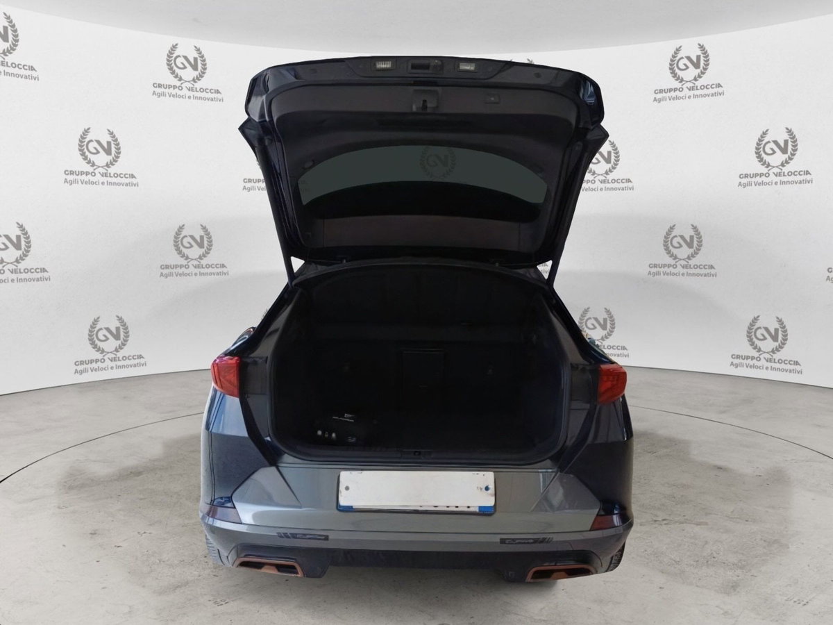 Cupra Formentor Formentor 2.0 tdi 4drive 150cv dsg (11)