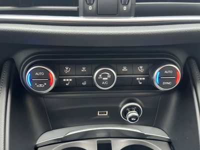 Alfa Romeo Stelvio Stelvio 2.2 Turbodiesel 210 CV AT8 Q4 Veloce (18)