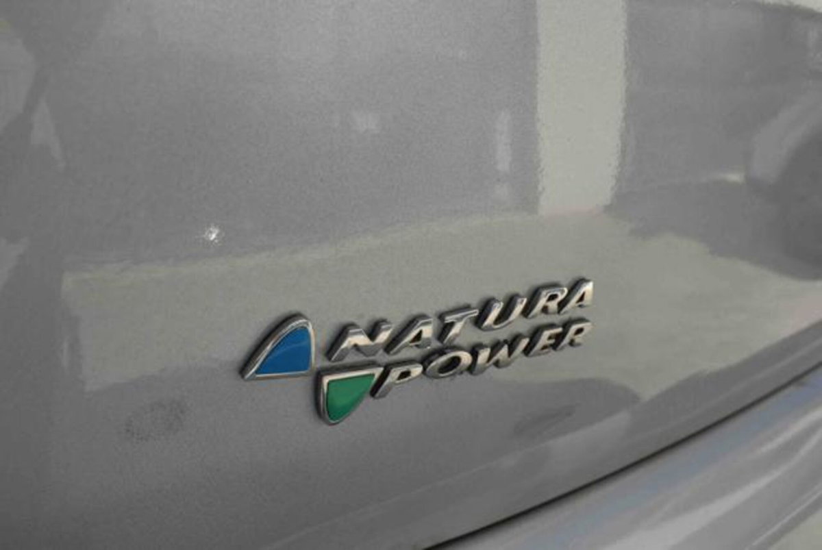 Fiat Grande Punto 1.4 5 porte Active Natural Power (19)