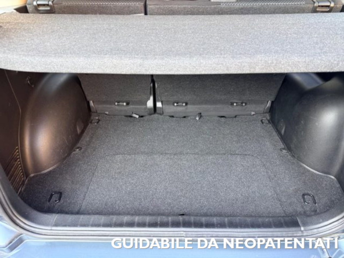 Suzuki Grand Vitara 1.9 DDiS 5 porte Crossover (14)