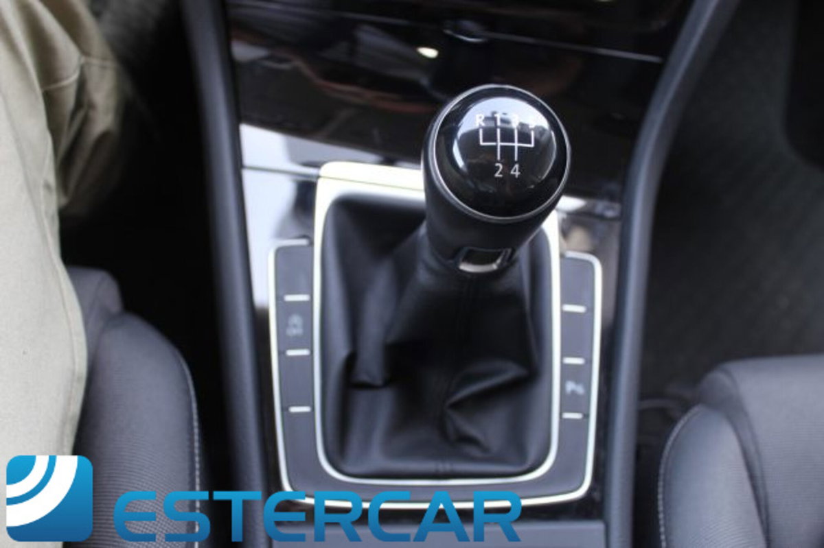Volkswagen Golf Sportsvan 1.6 TDI 110CV Highline BlueMotion Technology (19)