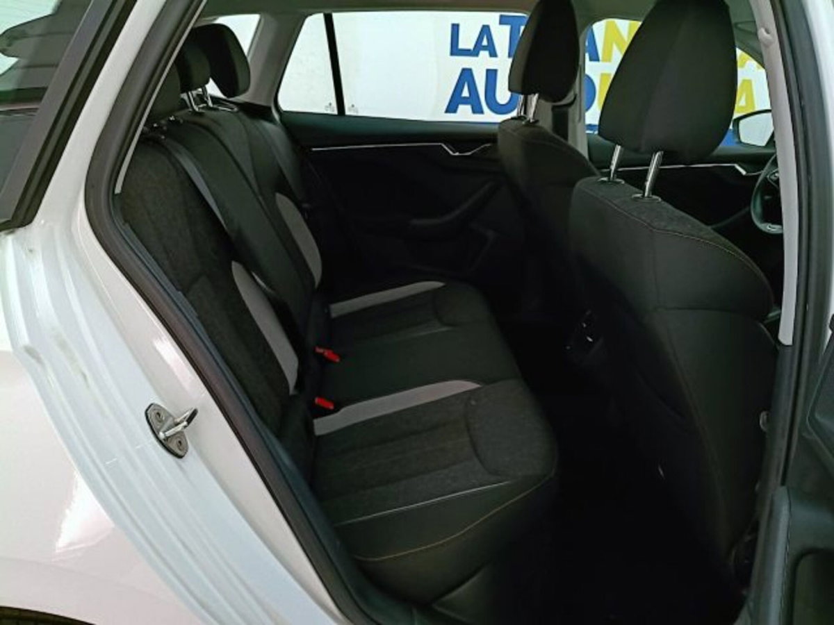 Skoda Kamiq 1.0 TSI 110 CV DSG Style (14)