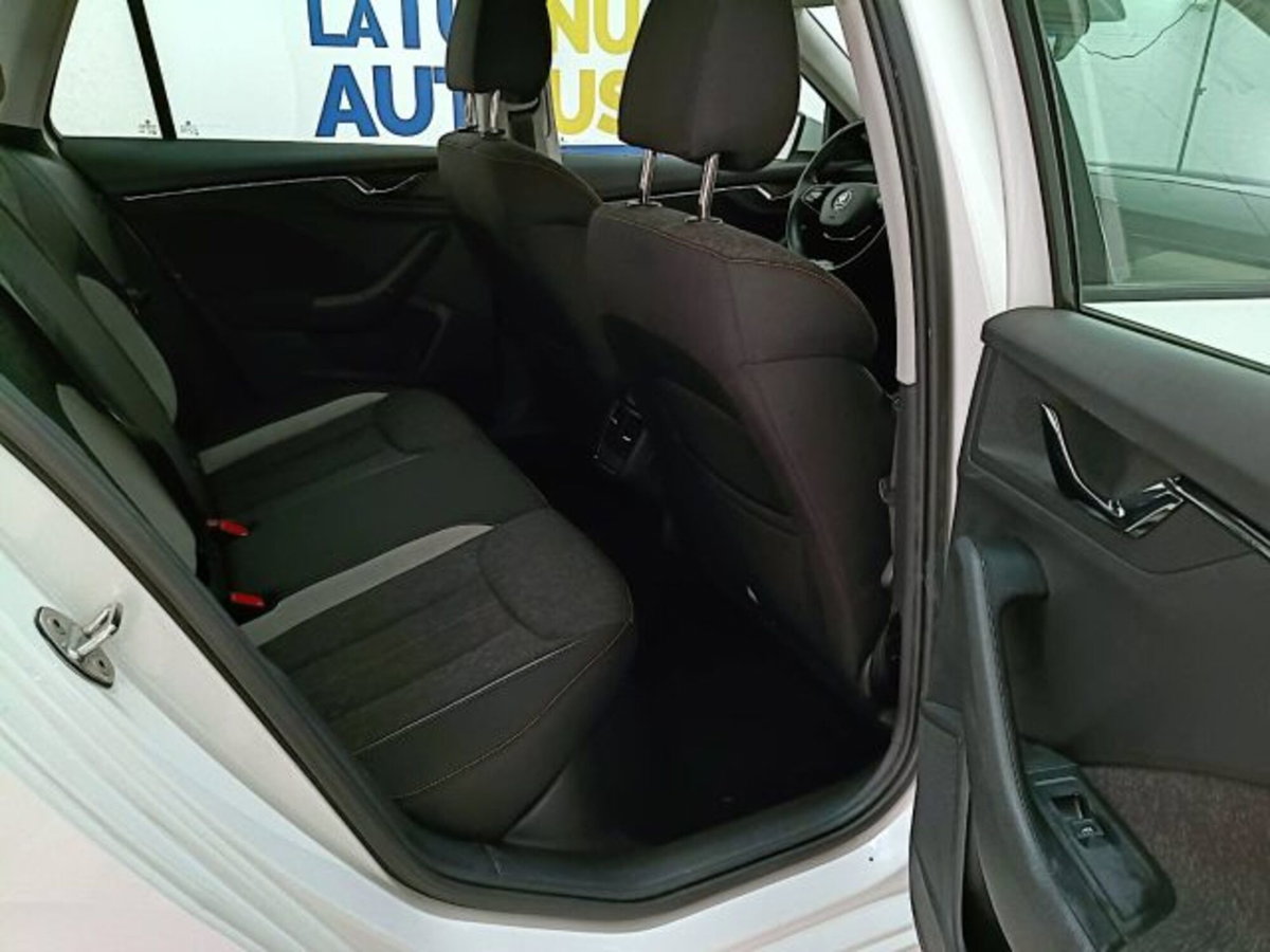 Skoda Kamiq 1.0 TSI 110 CV DSG Style (15)