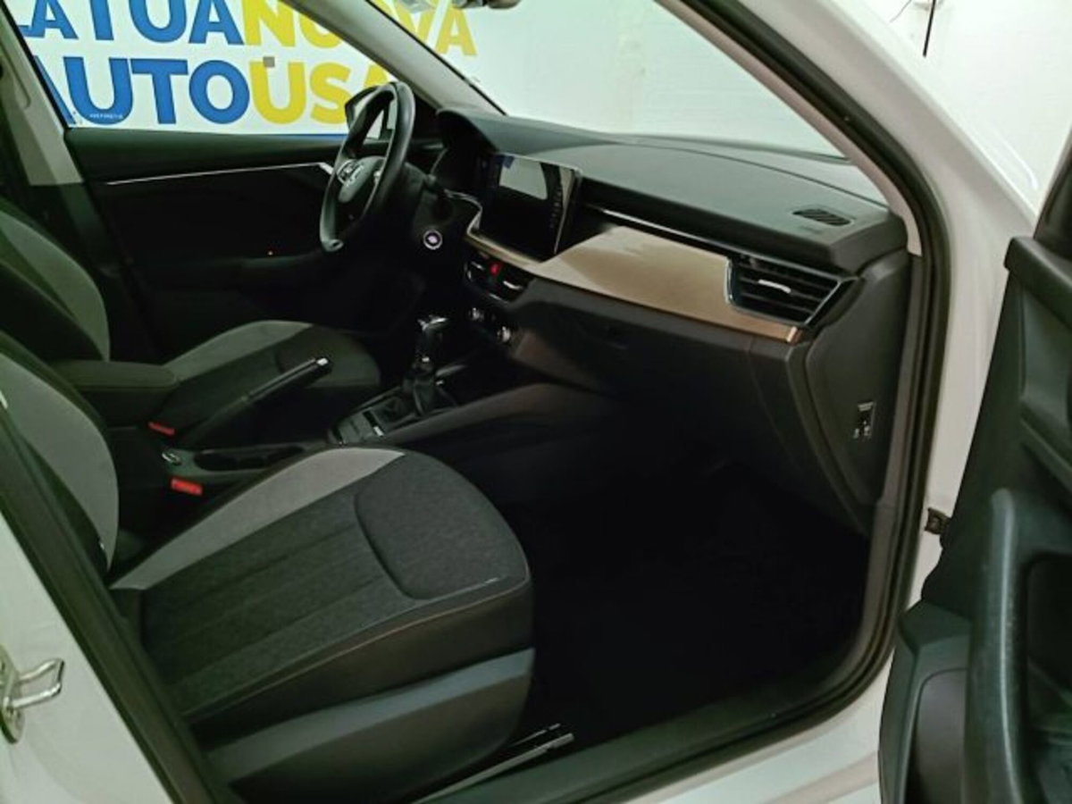 Skoda Kamiq 1.0 TSI 110 CV DSG Style (16)